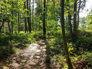 Appartamento Svaneke  26