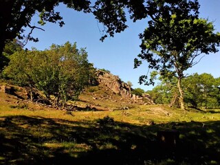 Appartement Svaneke  33