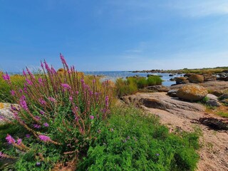 Appartamento Svaneke  35