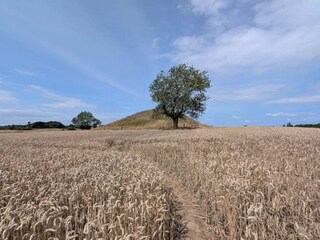 Maison de vacances Martofte  35