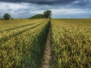 Casa per le vacanze Martofte  25