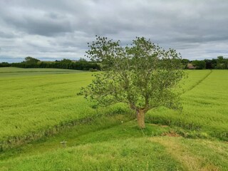 Vakantiehuis Martofte  23
