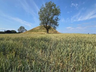 Maison de vacances Martofte  4