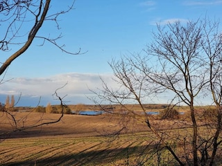 Ferienhaus Martofte  36