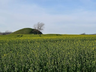 Ferienhaus Martofte  7