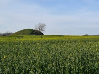 Maison de vacances Martofte  44