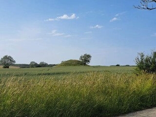 Holiday house Martofte  34