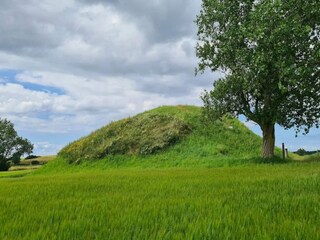 Vakantiehuis Martofte  36