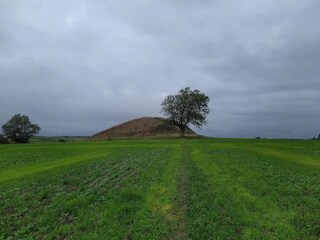 Holiday house Martofte  37