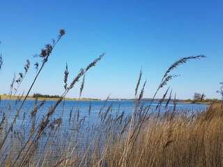 Vakantiehuis Martofte  43