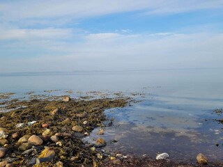 Vakantiehuis Martofte  46