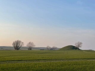 Holiday house Martofte  10