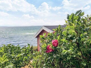 Ferienhaus Martofte  12