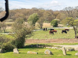 Ferienhaus Bagenkop  20