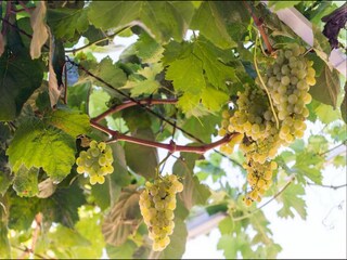 Appartement Dubrovnik Enregistrement extérieur 2