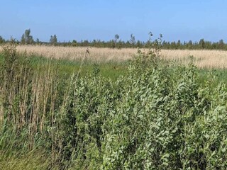 Vakantiehuis Vaeggerløse Buitenaudio-opname 17