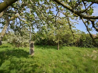 Ferienhaus Aakirkeby  22