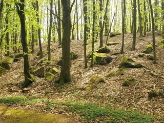 Ferienhaus Aakirkeby  19