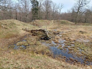 Ferienhaus Aakirkeby  20