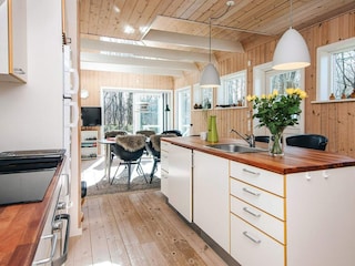 Ferienhaus Ejstrupholm  46