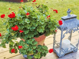 Vakantiehuis Herräng Buitenaudio-opname 2