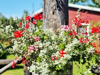 Ferienhaus Herräng Außenaufnahme 3
