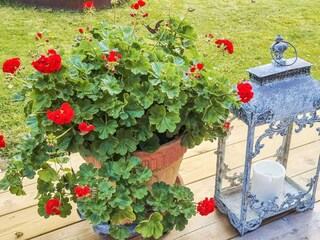 Vakantiehuis Herräng Buitenaudio-opname 8