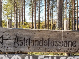 Appartement Treungen (Telemark)  13