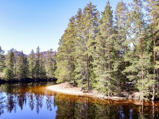 Appartement Treungen (Telemark)  13