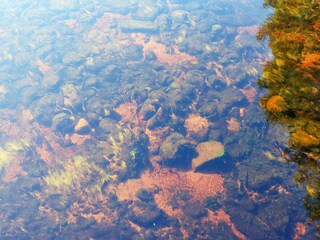 Appartement Treungen (Telemark)  14