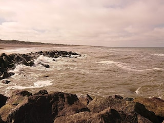 Ferienhaus Trend  31