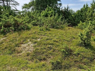 Vakantiehuis Varekil  12