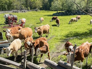 Casa per le vacanze Bockara  32