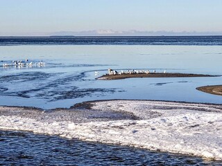 Casa per le vacanze Bjerge Strand  37
