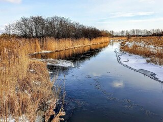Vakantiehuis Bjerge Strand  7