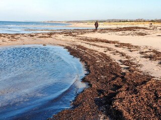 Vakantiehuis Bjerge Strand  25