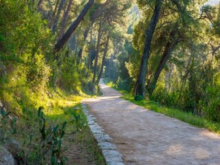 Apartamento Dubrovnik  22
