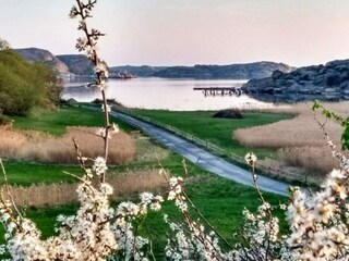 Vakantiehuis Hunnebostrand Buitenaudio-opname 4