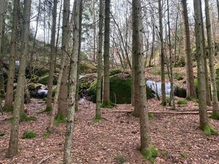 Vakantiehuis Hunnebostrand  7