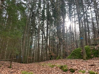 Vakantiehuis Hunnebostrand  8