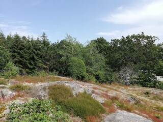 Vakantiehuis Hunnebostrand  31