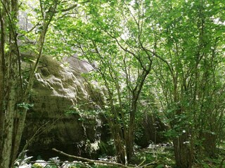 Vakantiehuis Hunnebostrand  12