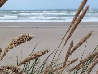 Vakantiehuis Grevinge Buitenaudio-opname 3