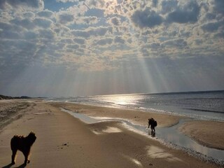 Vakantiehuis Grevinge Buitenaudio-opname 15