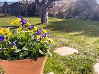 Holiday house Varekil Outdoor Recording 8