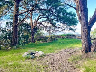 Ferienhaus Varekil Außenaufnahme 18