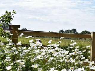 Holiday house Ängelholm Outdoor Recording 6