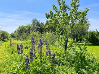 Vakantiehuis Welt Buitenaudio-opname 2