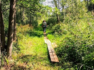 Holiday house Flen  16