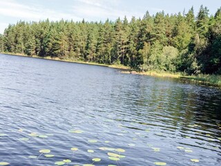 Casa per le vacanze Flen  5